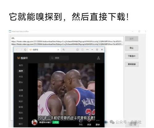 黑料六点半网站视频,视频内容深度解析