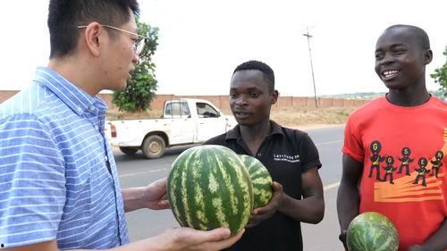 黑料六点半在线吃瓜,揭秘娱乐圈幕后真相，在线吃瓜狂欢