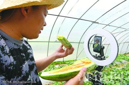 黑料六点半在线吃瓜,揭秘娱乐圈幕后真相，在线吃瓜狂欢