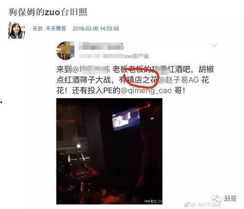 155.fun黑料网,网络舆论的暗流涌动